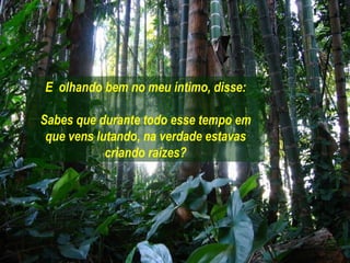 E olhando bem no meu íntimo, disse:

Sabes que durante todo esse tempo em
 que vens lutando, na verdade estavas
            criando raízes?
 