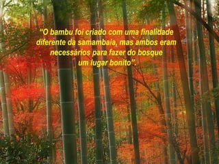 “O bambu foi criado com uma finalidade
diferente da samambaia, mas ambos eram
     necessários para fazer do bosque
             um lugar bonito”.
 