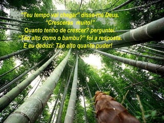 “Teu tempo vai chegar” disse-me Deus.
           “Crescerás muito!”
  Quanto tenho de crescer? perguntei.
“Tão alto como o bambu?” foi a resposta.
  E eu deduzi: Tão alto quanto puder!
 