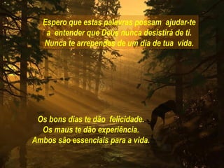 Espero que estas palavras possam ajudar-te
   a entender que Deus nunca desistirá de ti.
  Nunca te arrependas de um dia de tua vida.




 Os bons dias te dão felicidade.
  Os maus te dão experiência.
Ambos são essenciais para a vida.
 