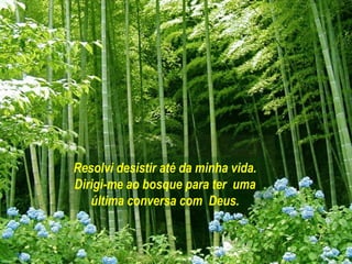 Resolvi desistir até da minha vida.
Dirigi-me ao bosque para ter uma
   última conversa com Deus.
 