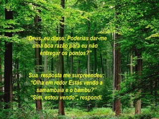 “Deus, eu disse: Poderias dar-me
  uma boa razão para eu não
     entregar os pontos?”


 Sua resposta me surpreendeu:
 “Olha em redor Estás vendo a
   samambaia e o bambu?”
 “Sim, estou vendo”, respondi.
 