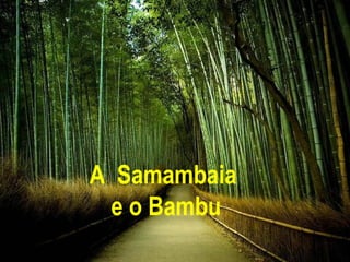 A Samambaia
  e o Bambu
 