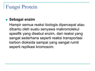 Fungsi Protein
 Sebagai enzim
Hampir semua reaksi biologis dipercepat atau
dibantu oleh suatu senyawa makromolekul
spesifik yang disebut enzim, dari reaksi yang
sangat sederhana seperti reaksi transportasi
karbon dioksida sampai yang sangat rumit
seperti replikasi kromosom.
 