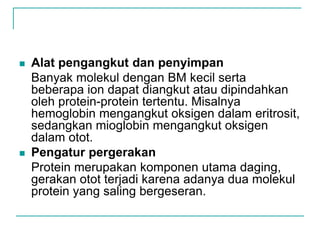  Alat pengangkut dan penyimpan
Banyak molekul dengan BM kecil serta
beberapa ion dapat diangkut atau dipindahkan
oleh protein-protein tertentu. Misalnya
hemoglobin mengangkut oksigen dalam eritrosit,
sedangkan mioglobin mengangkut oksigen
dalam otot.
 Pengatur pergerakan
Protein merupakan komponen utama daging,
gerakan otot terjadi karena adanya dua molekul
protein yang saling bergeseran.
 
