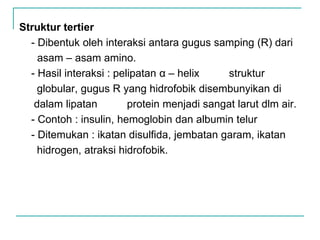 Struktur tertier
- Dibentuk oleh interaksi antara gugus samping (R) dari
asam – asam amino.
- Hasil interaksi : pelipatan α – helix struktur
globular, gugus R yang hidrofobik disembunyikan di
dalam lipatan protein menjadi sangat larut dlm air.
- Contoh : insulin, hemoglobin dan albumin telur
- Ditemukan : ikatan disulfida, jembatan garam, ikatan
hidrogen, atraksi hidrofobik.
 