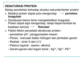 DENATURASI PROTEIN
Setiap perubahan terhadap struktur sekunder/tertier protein
 Molekul protein dapat pula mengendap peristiwa
koagulasi
 Denaturasi belum tentu mengakibatkan koagulasi.
Potein dapat saja mengendap, tetapi dapat kembali ke
keadaan semula flokulasi
 Faktor-faktor penyebab denaturasi protein :
- perubahan pH : penggumpalan kasein
- Panas : merusak ikatan hidrogen dan jembatan garam
- Radiasi : sinar X dan U.V
- Pelarut organik : aseton, alkohol.
- Garam-garam dari logam berat : Ag2+, Hg2+, Pb2+
 