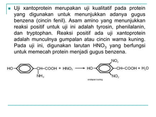  Uji xantoprotein merupakan uji kualitatif pada protein
yang digunakan untuk menunjukkan adanya gugus
benzena (cincin fenil). Asam amino yang menunjukkan
reaksi positif untuk uji ini adalah tyrosin, phenilalanin,
dan tryptophan. Reaksi positif ada uji xantoprotein
adalah munculnya gumpalan atau cincin warna kuning.
Pada uji ini, digunakan larutan HNO3 yang berfungsi
untuk memecah protein menjadi gugus benzena.
 