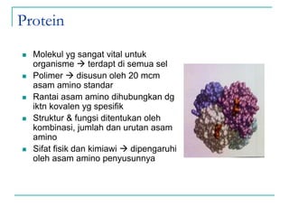 Protein
 Molekul yg sangat vital untuk
organisme  terdapt di semua sel
 Polimer  disusun oleh 20 mcm
asam amino standar
 Rantai asam amino dihubungkan dg
iktn kovalen yg spesifik
 Struktur & fungsi ditentukan oleh
kombinasi, jumlah dan urutan asam
amino
 Sifat fisik dan kimiawi  dipengaruhi
oleh asam amino penyusunnya
 