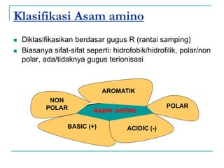 Asam amino
Klasifikasi Asam amino
 Diklasifikasikan berdasar gugus R (rantai samping)
 Biasanya sifat-sifat seperti: hidrofobik/hidrofilik, polar/non
polar, ada/tidaknya gugus terionisasi
AROMATIK
POLAR
ACIDIC (-)
BASIC (+)
NON
POLAR
 