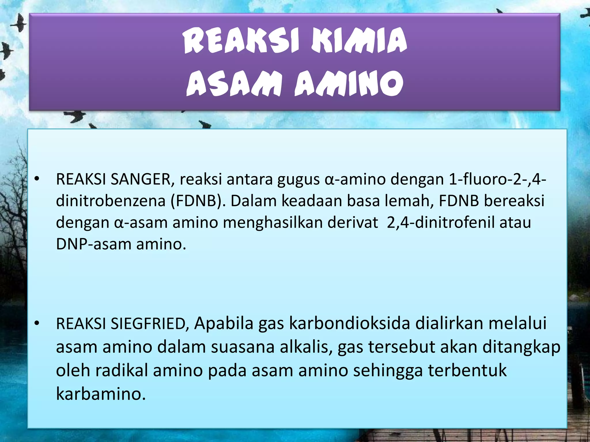 REAKSI KIMIA
ASAM AMINO
• REAKSI SANGER, reaksi antara gugus α-amino dengan 1-fluoro-2-,4dinitrobenzena (FDNB). Dalam keadaan basa lemah, FDNB bereaksi
dengan α-asam amino menghasilkan derivat 2,4-dinitrofenil atau
DNP-asam amino.

• REAKSI SIEGFRIED, Apabila gas karbondioksida dialirkan melalui

asam amino dalam suasana alkalis, gas tersebut akan ditangkap
oleh radikal amino pada asam amino sehingga terbentuk
karbamino.

 