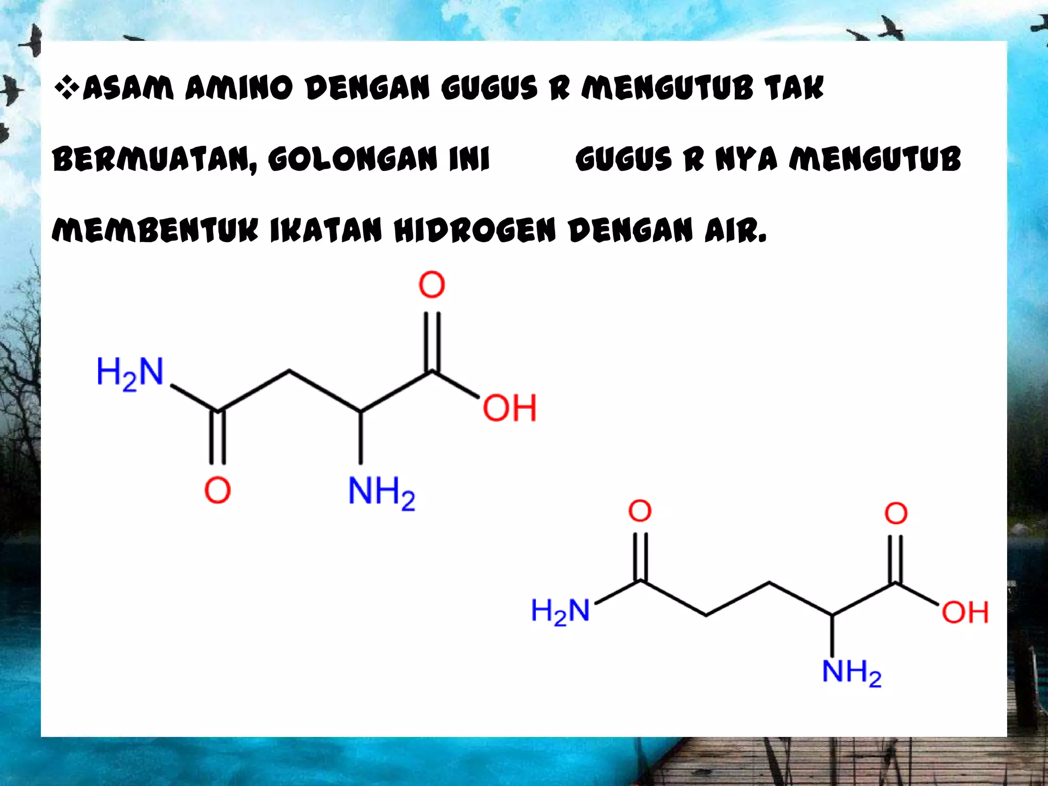 Asam amino dengan gugus R mengutub tak

bermuatan, golongan ini

gugus R nya mengutub

membentuk ikatan hidrogen dengan air.

 