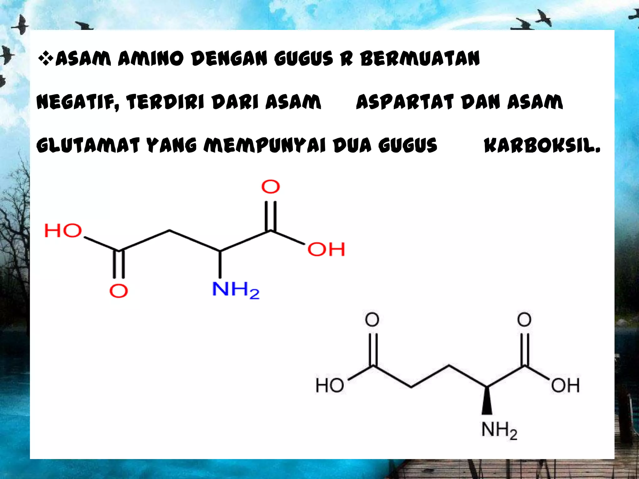Asam amino dengan gugus R bermuatan
negatif, terdiri dari asam

aspartat dan asam

glutamat yang mempunyai dua gugus

karboksil.

 