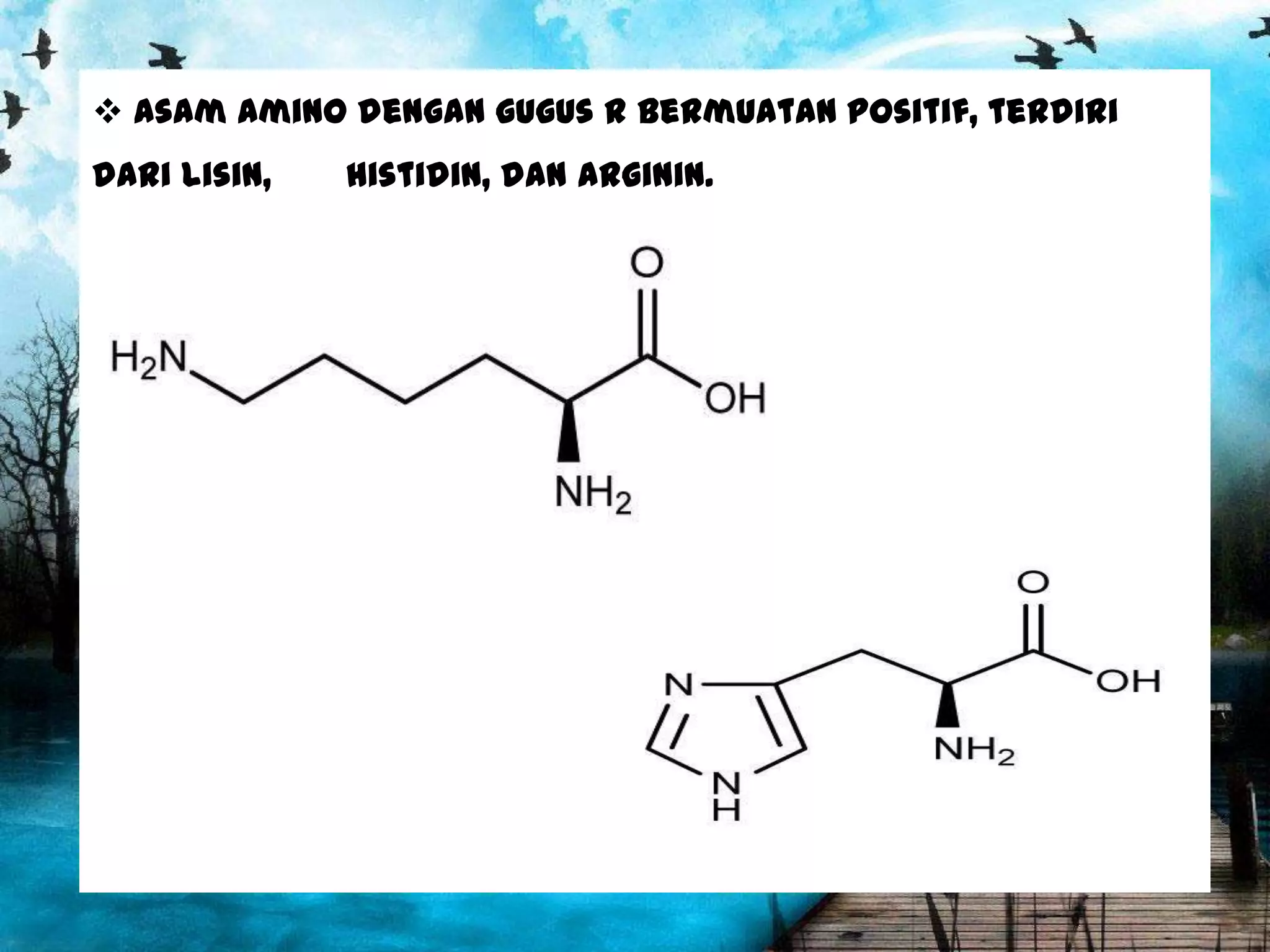  Asam amino dengan gugus R bermuatan positif, terdiri
dari lisin,

histidin, dan arginin.

 