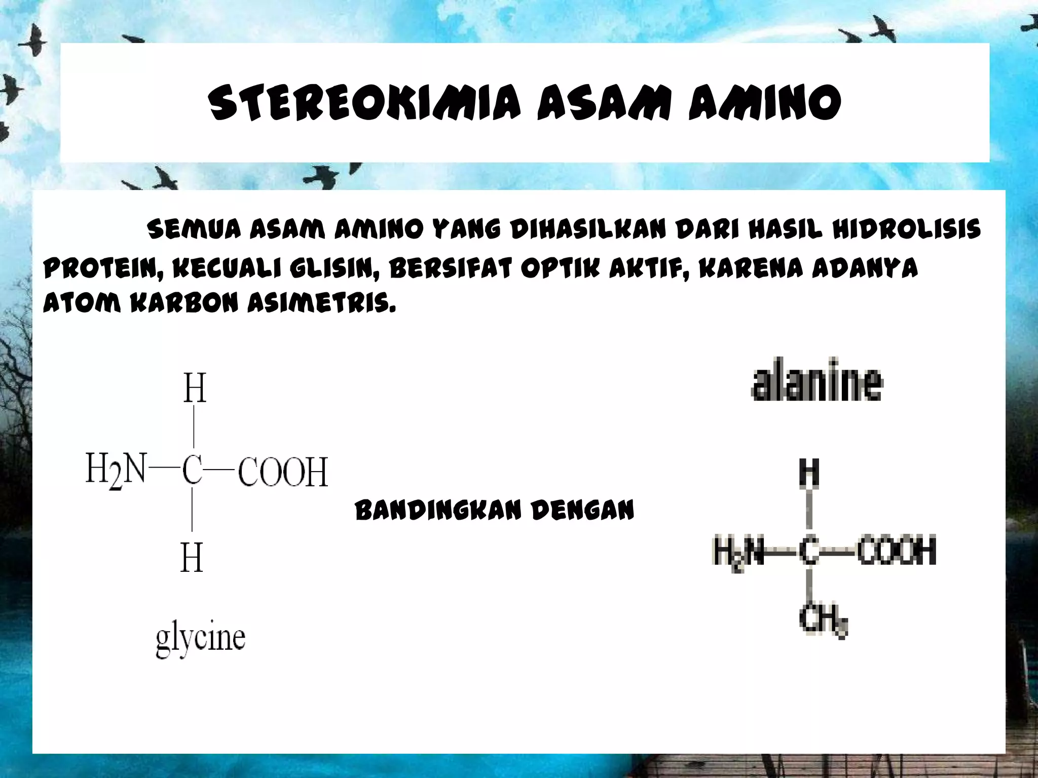 STEREOKIMIA ASAM AMINO
Semua asam amino yang dihasilkan dari hasil hidrolisis
protein, kecuali glisin, bersifat optik aktif, karena adanya
atom karbon asimetris.

bandingkan dengan

 