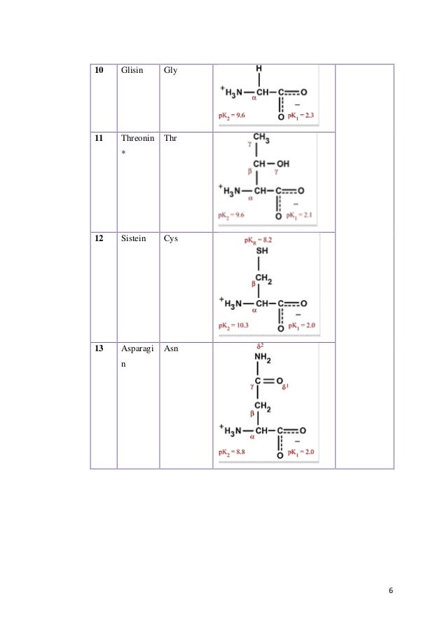 Singkatan Asam Amino Asam amino peptida protein Singkatan Asam Amino Asam amino peptida protein