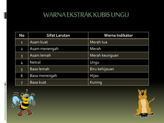 WARNAEKSTRAKKUBISUNGU
No Sifat Larutan Warna Indikator
1 Asam kuat Merah tua
2 Asam menengah Merah
3 Asam lemah Merah keunguan
4 Netral Ungu
5 Basa lemah Biru kehijauan
6 Basa menengah Hijau
7 Basa kuat Kuning
 