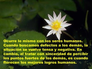 Ocurre lo mismo con los seres humanos.
Cuando buscamos defectos a los demás, la
situación se vuelve tensa y negativa. En
cambio, al tratar con sinceridad de percibir
los puntos fuertes de los demás, es cuando
florecen los mejores logros humanos.
 
