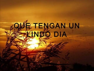 QUE TENGAN UN
LINDO DIA
 