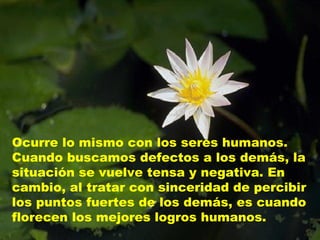 Ocurre lo mismo con los seres humanos.
Cuando buscamos defectos a los demás, la
situación se vuelve tensa y negativa. En
cambio, al tratar con sinceridad de percibir
los puntos fuertes de los demás, es cuando
florecen los mejores logros humanos.
 