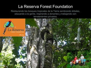La Reserva Forest Foundation
Restaurando los bosques tropicales de la Tierra sembrando árboles,
educando a la gente, inspirando a donantes y trabajando con
terratenientes privados.

 