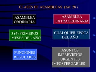 CLASES DE ASAMBLEAS  (Art. 28  ) ASAMBLEA ORDINARIA   ASAMBLEA  EXTRAORDINARIA   3 (4) PRIMEROS  MESES DEL AÑO CUALQUIER EPOCA DEL AÑO  FUNCIONES  REGULARES   ASUNTOS IMPREVISTOS URGENTES IMPOSTERGABLES  