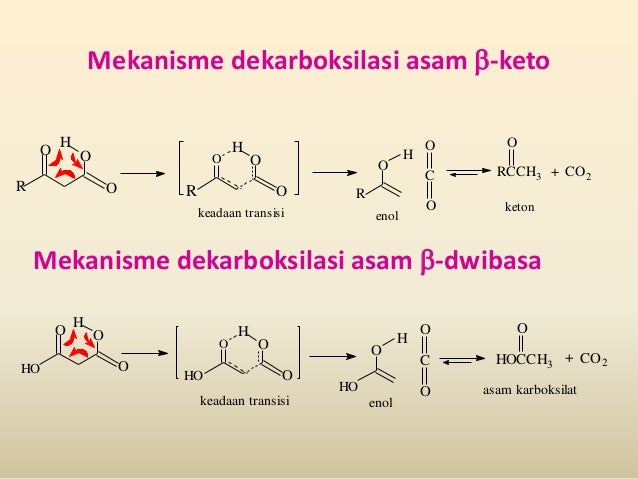 Kimia Organik Asam Karboksilat Dan Ester