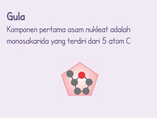 Gula
Komponen pertama asam nukleat adalah
monosakarida yang terdiri dari 5 atom C
 