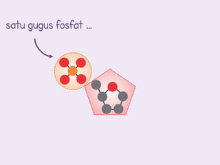 satu gugus fosfat …
 