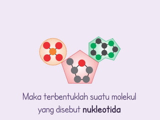 Maka terbentuklah suatu molekul
   yang disebut nukleotida
 