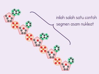 inilah salah satu contoh
segmen asam nukleat
 