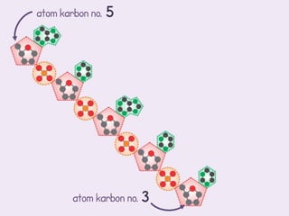 atom karbon no. 5




       atom karbon no. 3
 