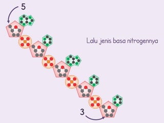 5


        Lalu jenis basa nitrogennya




    3
 