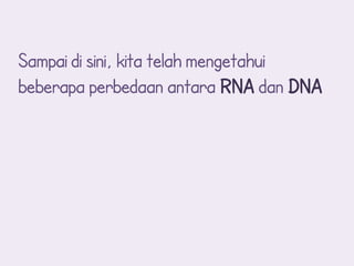 Sampai di sini, kita telah mengetahui
beberapa perbedaan antara RNA dan DNA
 
