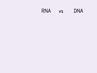 RNA   vs   DNA
 