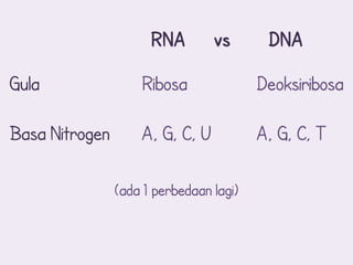 RNA        vs       DNA

Gula                Ribosa               Deoksiribosa

Basa Nitrogen       A, G, C, U           A, G, C, T

                (ada 1 perbedaan lagi)
 
