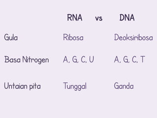 RNA         vs    DNA

Gula            Ribosa            Deoksiribosa

Basa Nitrogen   A, G, C, U        A, G, C, T

Untaian pita    Tunggal           Ganda
 