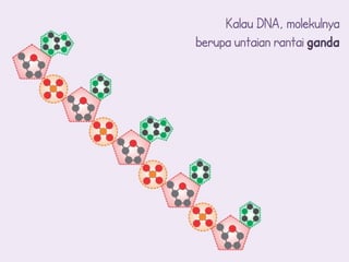 Kalau DNA, molekulnya
berupa untaian rantai ganda
 