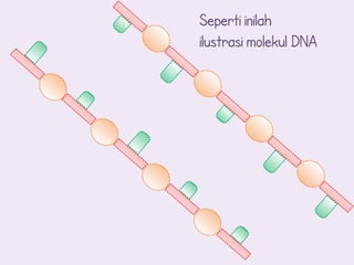 Seperti inilah
ilustrasi molekul DNA
 