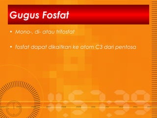 Gugus Fosfat
• Mono-, di- atau trifosfat
• fosfat dapat dikaitkan ke atom C3 dari pentosa

 