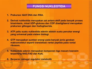 FUNGSI NUKLEOTIDA
1. Prekursor Aktif DNA dan RNA.
2. Derivat nukleotida merupakan zat antara aktif pada banyak proses
biosintesis, misal UDP-glukosa dan CDP diasilgliserol merupakan
prekursor glikogen dan fosfogliserida.
3. ATP yaitu suatu nukleotida adenin adalah suatu penukar energi
yang universal pada sistem biologi.
4. GTP merupakan sumber energi pada banyak jenis gerakan
makromolekul seperti translokasi rantai peptida pada rantai
ribosom.
5. Nukleotida adenin merupakan komponen tiga macam koenzim
terpenting NAD,FAD dan KoA.
6. Berperan sebagai regulator metabolik

 