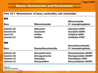 1 April 2007

Bases, Nucleosides and Nucleotides

 