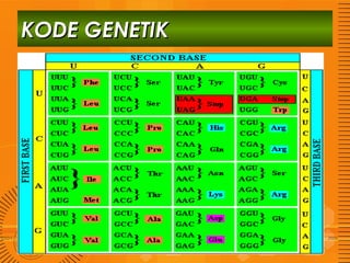 KODE GENETIK

 
