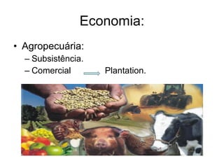 Economia: Agropecuária: Subsistência. Comercial  Plantation. 