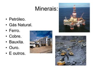 Minerais: Petróleo. Gás Natural. Ferro. Cobre. Bauxita. Ouro. E outros. 