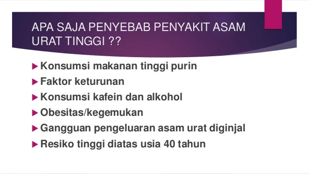 Asam Urat Tinggi