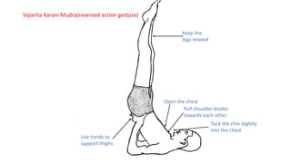 asana alignment karuna yoga ( PDFDrive ).pdf