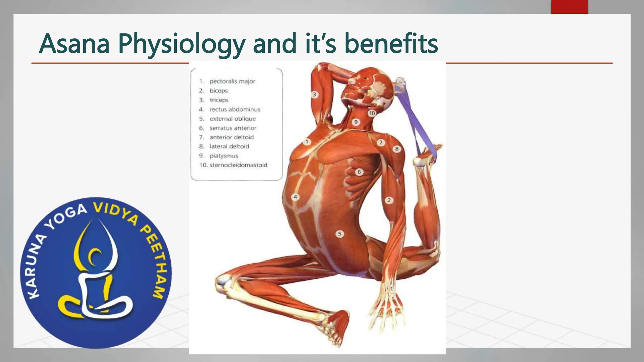 Asana, Pranayama, mudra, Bandha Physiology and it’s benefits on human