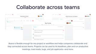 Asana Premium Overview | PDF