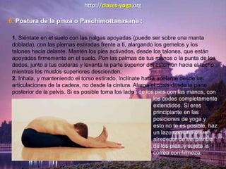 http://clases-yoga.org
6. Postura de la pinza o Paschimottanasana :
1. Siéntate en el suelo con las nalgas apoyadas (puede ser sobre una manta
doblada), con las piernas estiradas frente a ti, alargando los gemelos y los
talones hacia delante. Mantén los pies activados, desde los talones, que están
apoyados firmemente en el suelo. Pon las palmas de tus manos o la punta de los
dedos, junto a tus caderas y levanta la parte superior del esternón hacia el techo
mientras los muslos superiores descienden.
2. Inhala, y manteniendo el torso estirado, inclínate hacia adelante desde las
articulaciones de la cadera, no desde la cintura. Alarga el coxis desde la parte
posterior de la pelvis. Si es posible toma los lados de los pies con las manos, con
los codos completamente
extendidos. Si eres
principiante en las
posiciones de yoga y
esto no te es posible, haz
un lazo con una correa
alrededor de las plantas
de los pies, y sujeta la
correa con firmeza.
 